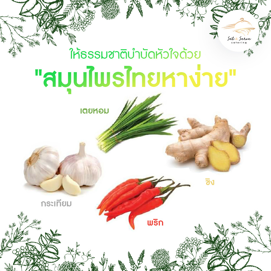 Thai Herb